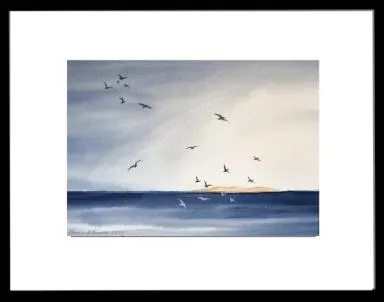 Sjø landskap med mange måker og i bakgrunnen en øy som er opplyst av kveldsola