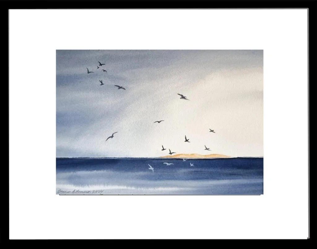 Sjø landskap med mange måker og i bakgrunnen en øy som er opplyst av kveldsola