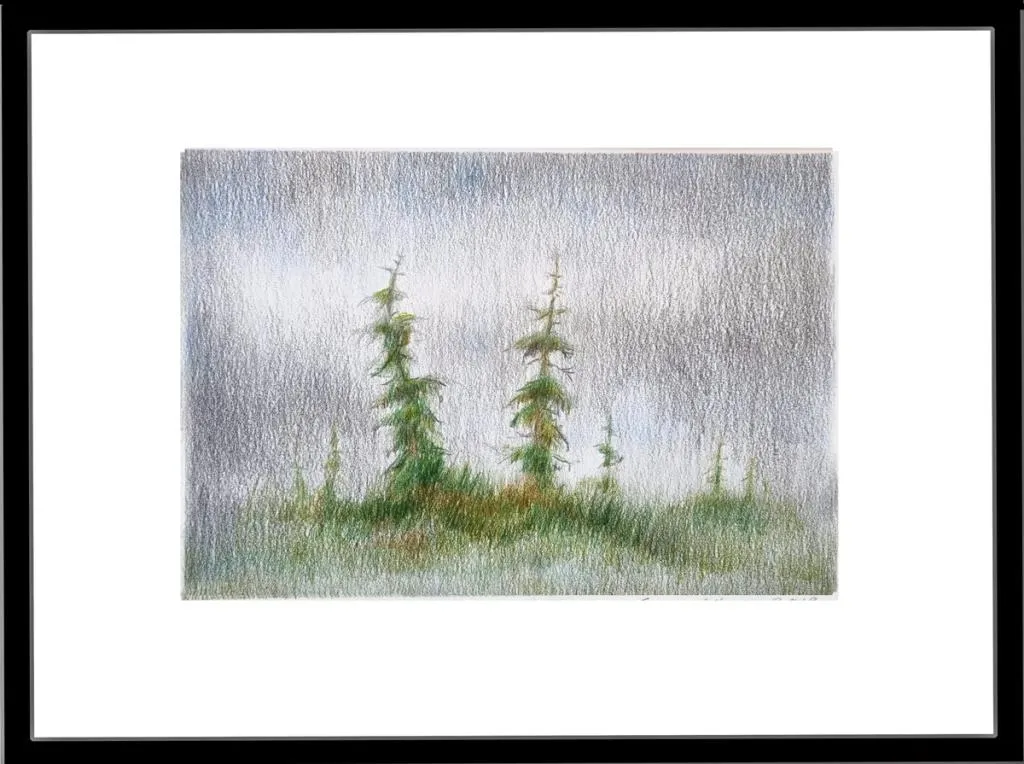 Enslige fjellgraner og tåke som siger inn