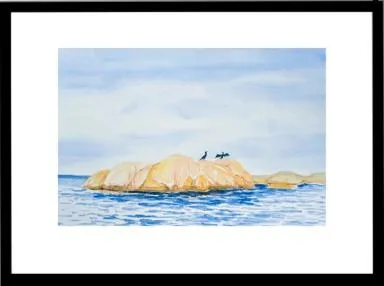 To ravner sitter på et skjær i skjærgården