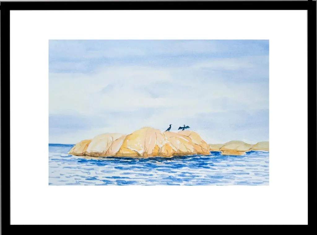 To ravner sitter på et skjær i skjærgården